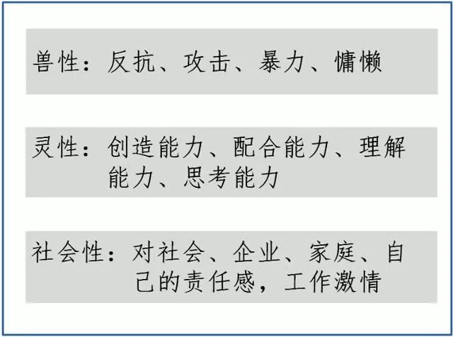 2025澳门特马今晚开码;-词语释义解释落实