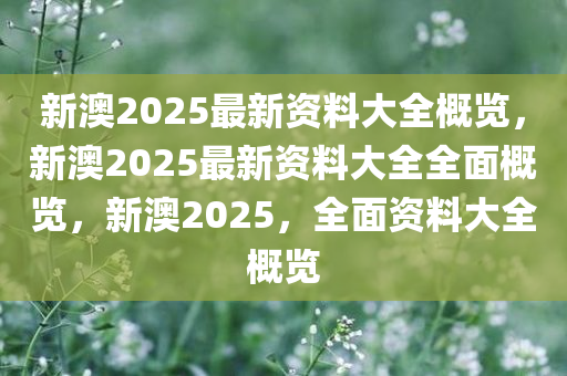 新澳2025年最新版资料,新澳2025年最新资料概览