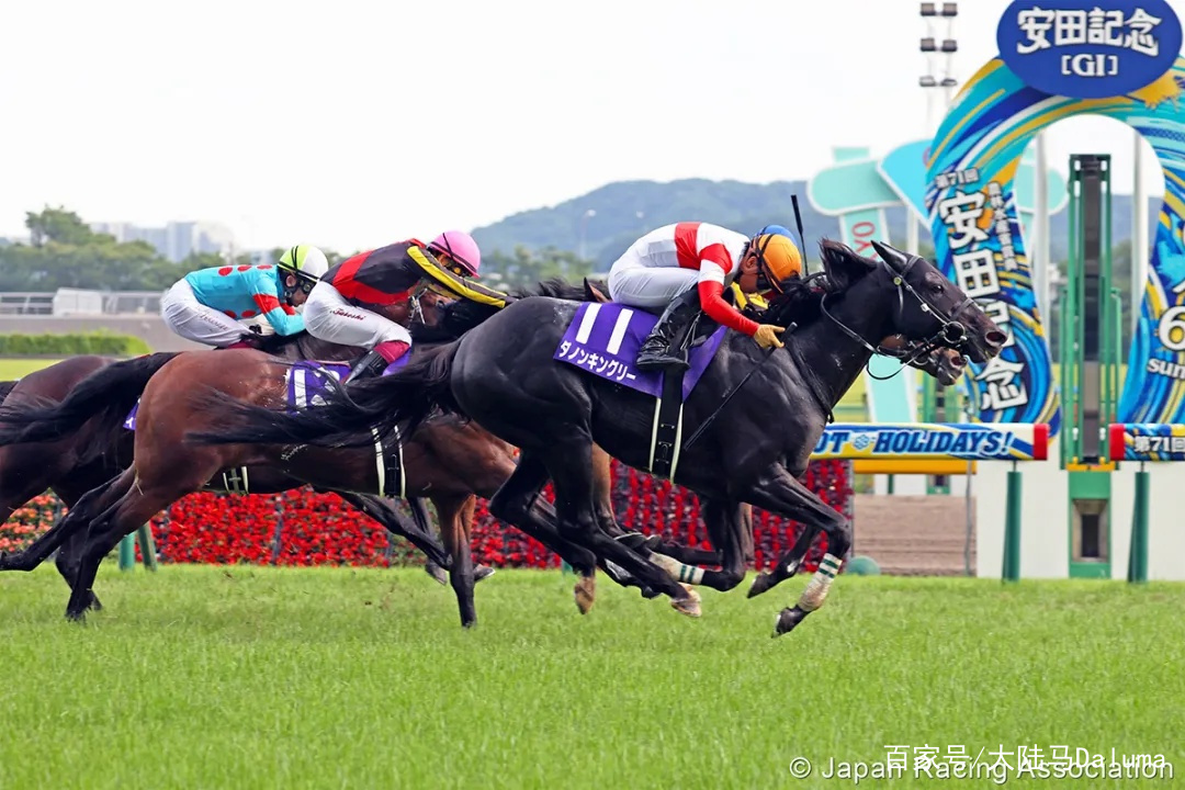 香港特马资料王中王;词语释义解释落实