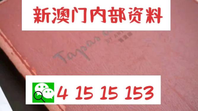 澳门内部资料精准公开;全面释义解释落实