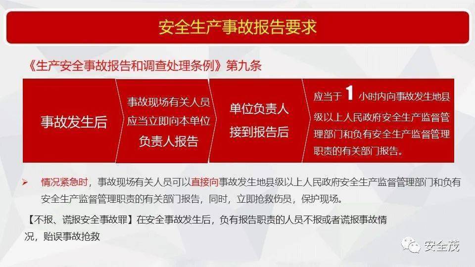 今晚必出三肖2025;全面释义解释落实