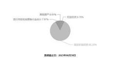 新澳最精准正最精准龙门客栈|精选资料解释大全