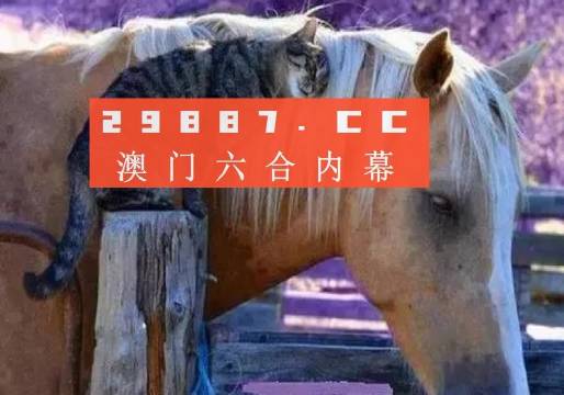 澳门一肖一码一一特一中|精选资料解释大全